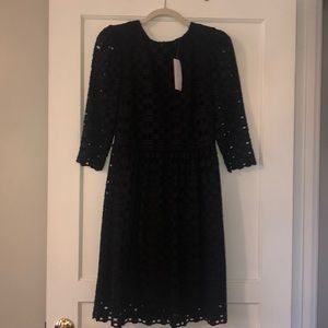 Ann Taylor 3/4 Sleeve Dress